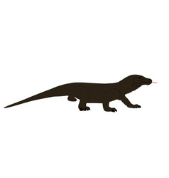 Komodo Dragon Isolated