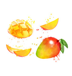 Watercolor Set Mango