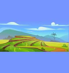 Asian Rice Field Landscape