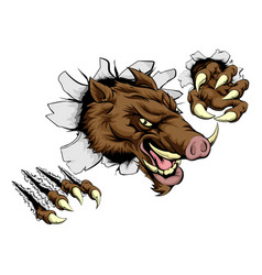 Boar Mascot Breaking Through Wall