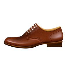 Leather Shoe Brown Realistic