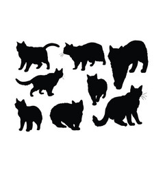 Cute Cat Silhouette Bundle In Different Positions