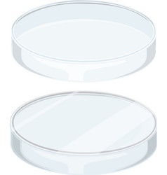 Glass Petri Dish On White Background