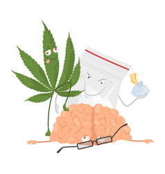 Cannabis Drug Effect On Human Brain