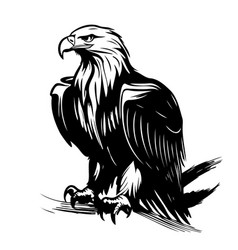 Flying Eagle Mascot Logo In Etching Style Sketch