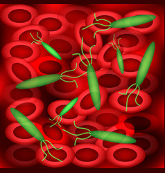 Background Of Erythrocytes Sepsis Blood