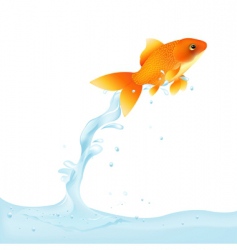 Goldfish Leaping Out Of Water