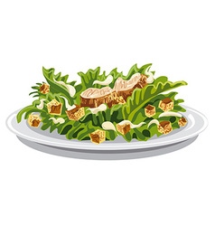 Salad Caesar With Croutons