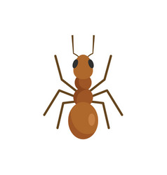 Cute Ant Icon Flat Style