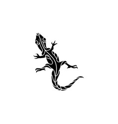 Lizard Design Animal And Reptile Gecko