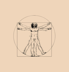 Vitruvian Man By Leonardo Da Vinci - Isolated