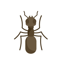 Insect Ant Icon Flat Style