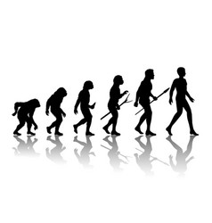 Man Evolution