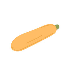 Yellow Squash Vegetable Zucchini Icon Courgette