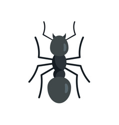 Team Ant Icon Flat Style