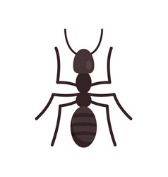 Soldier Ant Icon Flat Style