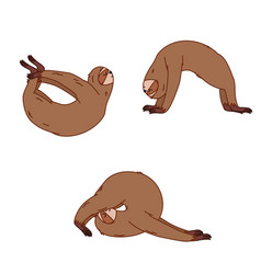 Sloth Yoga Deflections