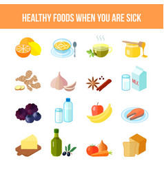 Healthy Food Icon Flat