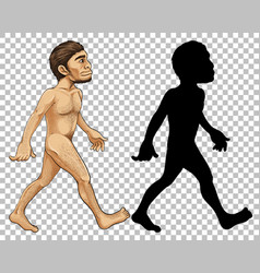 Human Evolution Transparent Background