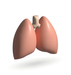 Lungs Isolated 3d Icon 3d