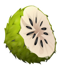 Juicy Soursop Icon Cartoon Annola Juice