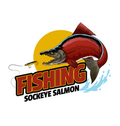 Fishing Sockeye Salmon Jumping Out Of Water