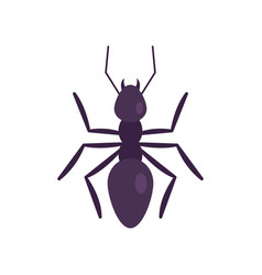 Nature Ant Icon Flat Style