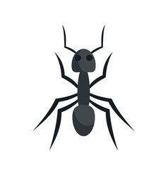 Fauna Ant Icon Flat Style