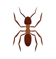 Pest Ant Icon Flat Style