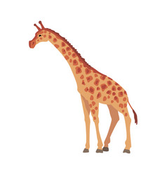 Giraffe Wild African Animal Side View Cartoon