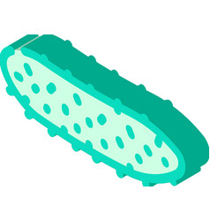 Gherkin Isometric Icon