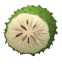 Plant Soursop Icon Cartoon Fresh Durian