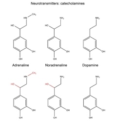 Structural Chemical Formulas Of Neurotransmitters