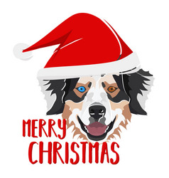 Dog Australian Shepherd Merry Christmas