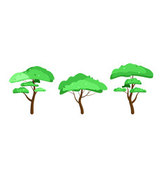 A Set Of Trees