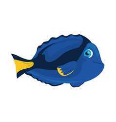 Blue Fish Design