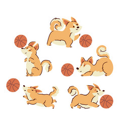 Welsh Corgi Dogs Dribbling A Basketball Hand