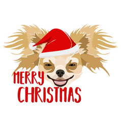 Dog Chihuahua Merry Christmas