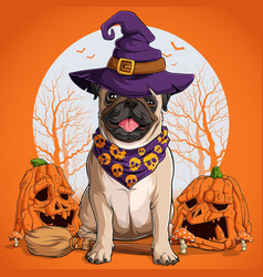 Pug Dog In Halloween Disguise Sitting