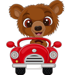 Cartoon Baby Bear Driving Red Car