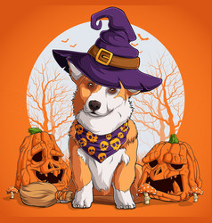 Welsh Corgi In Halloween Disguise Sitting