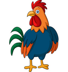 Cute Rooster Cartoon On White Background