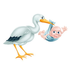 Stork And Baby Cartoon