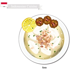 Soto Or Indonesian Chicken Soup With Meat