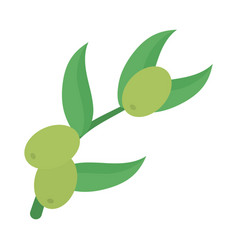 Olives Branch Icon