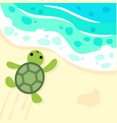 Cute Baby Turtle On Beach