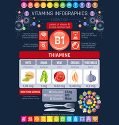 Thiamine vitamin b1 food icons healthy eating Vector Image