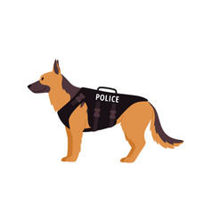 Police Dog In Vest Flat