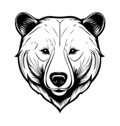 Black And White Bear Head Isolated On White