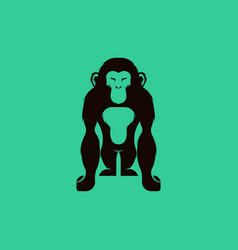 Chimp